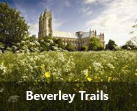 Beverley Trails
