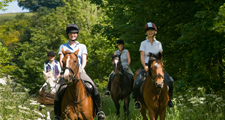Horse Friendly Accommodation