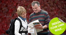 Click here to go to the Walking the Riding website
