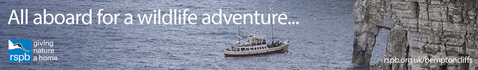 RSPB Puffin and Gannet Cruises