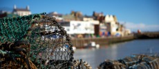 Harbour