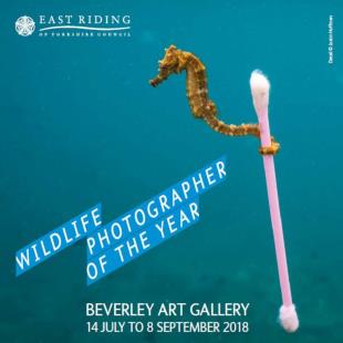 Wildlife Photographer of the Year