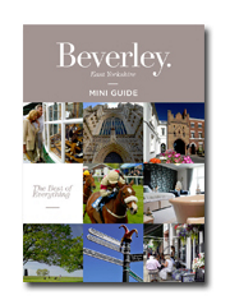 Download Mini Guide