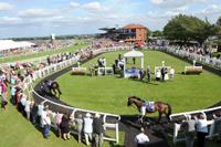 Beverley Racecourse