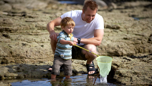 Free Fun in Hull and East Yorkshire Free Fun in Hull and East Yorkshire