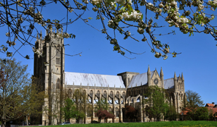 Things to see in Beverley
