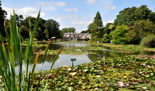 Parks & Gardens in Hull & East Yorkshire Parks & Gardens in Hull & East Yorkshire