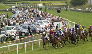 What's On in the Wolds What's On in the Wolds