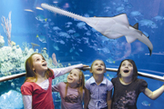 Things to Do in Hull